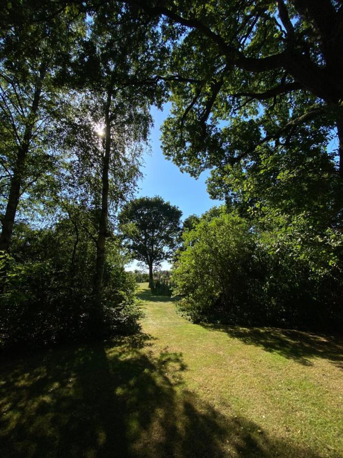 Appartement Duinweg Onstwedde エクステリア 写真